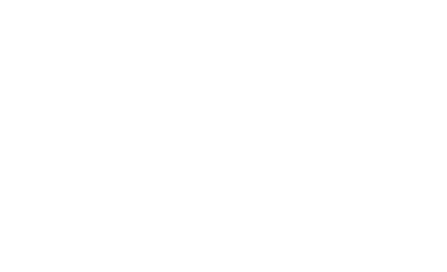 dassult-trans-systems-logo