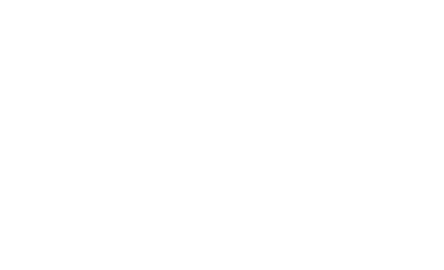 dassult-trans-systems-logo